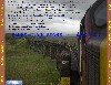 Blues Trains - 247-00c - tray back.jpg